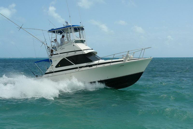 Bertram 34 sportfisher powering through Caribbean swell with anglers on the flybridge and outriggers rigged off Cancun