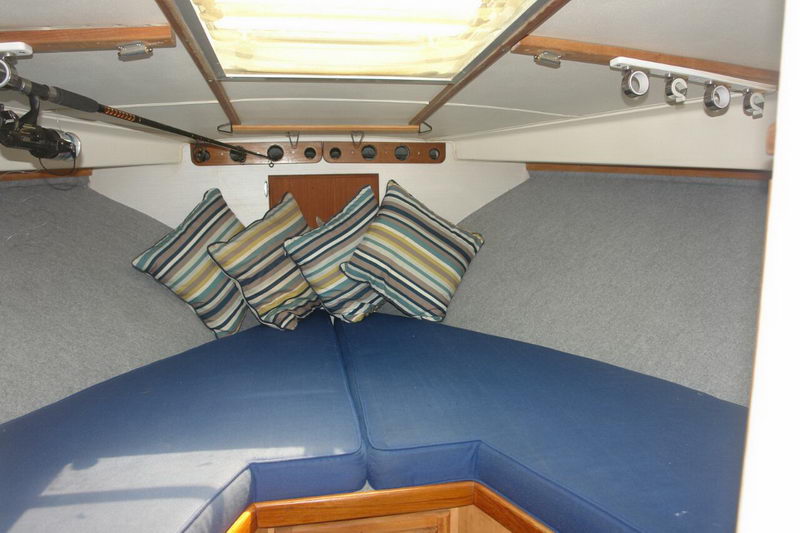 Forward V-berth cabin of the Bertram 34 with blue cushions, striped pillows and a stowed fishing rod for overnight trips