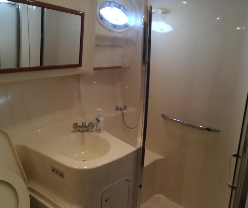 Compact bathroom of SeaRay 41 flybridge charter yacht with sink, shower and porthole in luxury Cancun rental boat