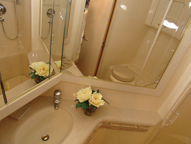 Ensuite bathroom with shower, vanity and mirrors aboard the 54 ft Sea Ray Sundancer luxury yacht charter in Cancun