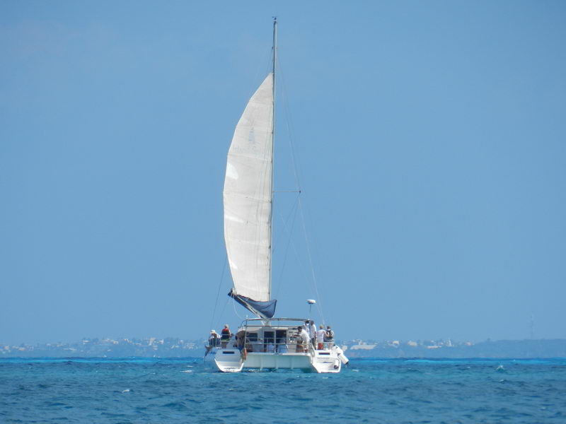 White sailing catamaran sailing under a tall white mainsail on deep-blue water, passengers seated in the cockpit, a faint coastline on the horizon under a clear sunny sky.