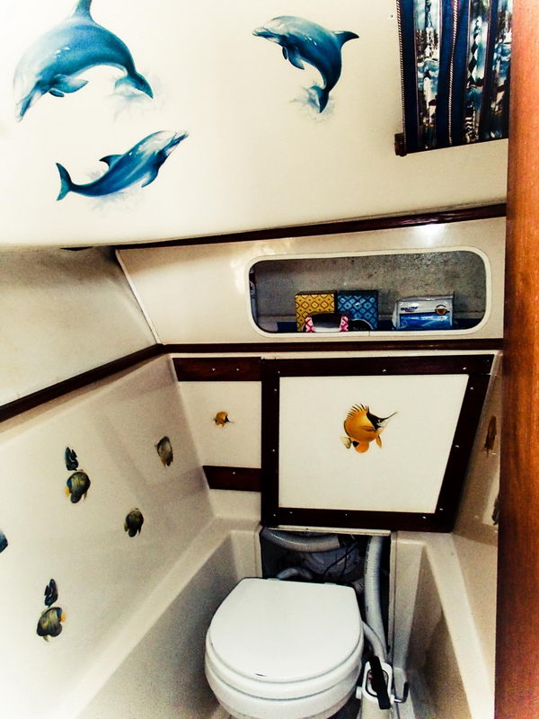 Small yacht head (bathroom) with a marine toilet, decorated with painted dolphin and tropical-fish decals on the white walls and a shelf niche holding toiletries. Wood trim frames the compartment.