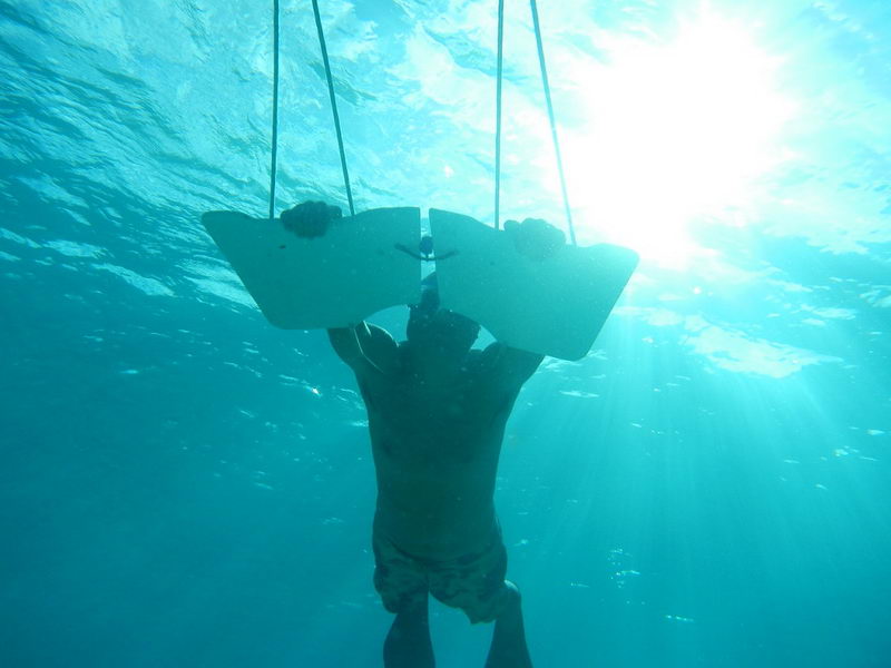 Subwing Cozumel Island reef
