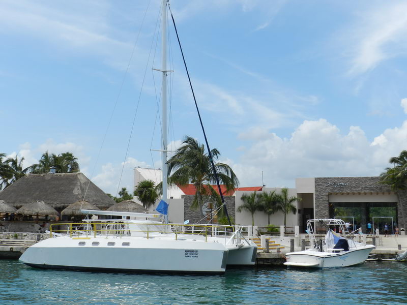 Catamaran sailing Riviera Maya and dolphins swim at marina P…