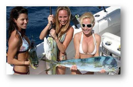 Three women in bikinis standing on a boat, laughing and holding up a large freshly caught dorado (mahi-mahi) and another fish. Sunny day on the water; image has a grey frame border.
