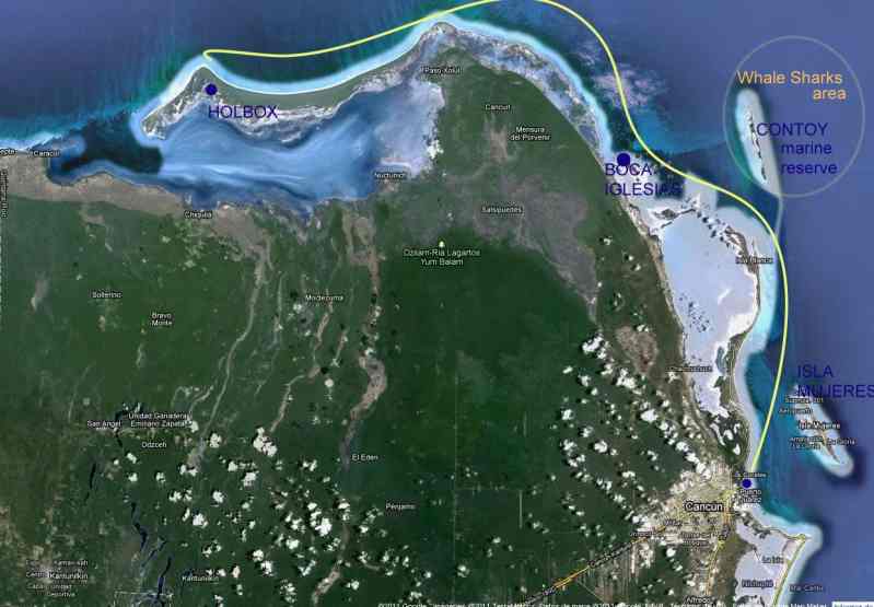 Google Earth satellite map of the northern Yucatan coast with a yellow sailing route from Cancun up to Holbox and Boca Iglesias, labeling the Contoy marine reserve and whale shark area.