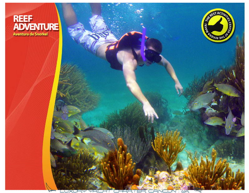 Promotional flyer graphic titled REEF ADVENTURE / Aventura de Snorkel showing a snorkeler gliding over a coral reef among schools of fish in clear water. Red-and-orange border, activities badge and Luxury Yacht Charter Cancun watermark.