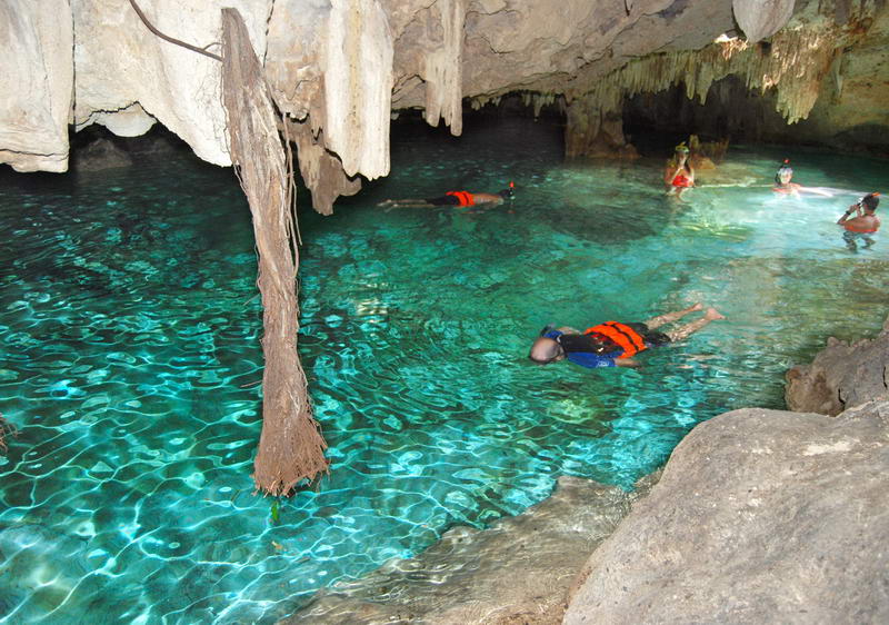 Elevated view of snorkelers in orange life jackets floating in bright turquoise cenote water beside a submerged tree trunk, framed by limestone rock and stalactites.
