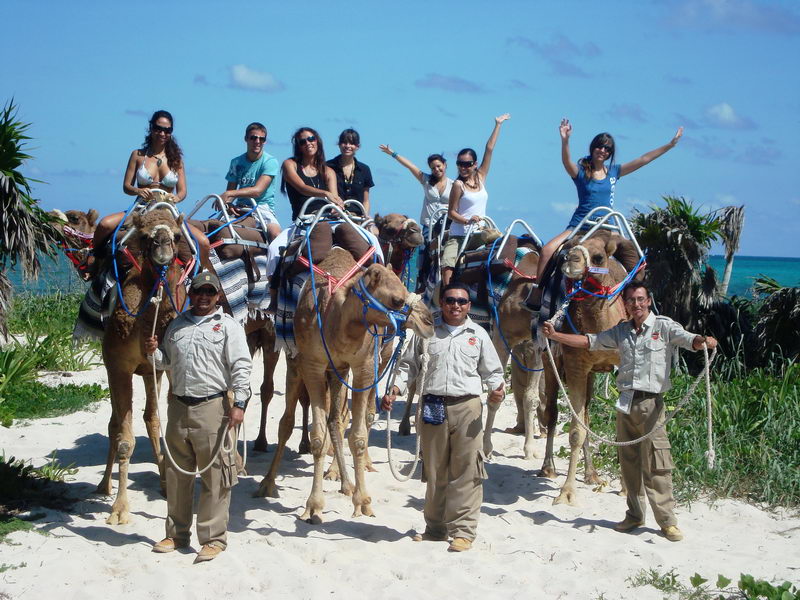 Cheerful group riding camels with guides along a Maroma beach trail, arms raised under a bright blue Caribbean sky