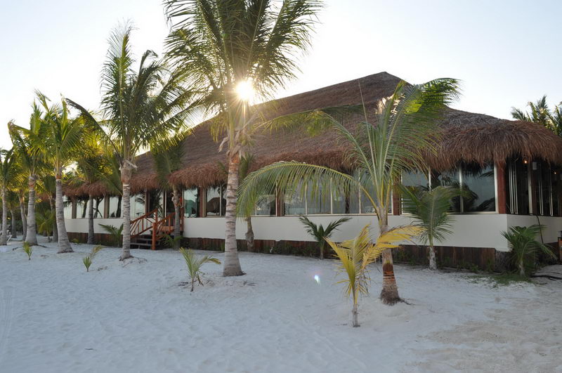 Exterior of a beachfront restaurant with a large thatched palapa roof and glass walls, surrounded by coconut palms on white sand. The setting sun flares through the palm fronds in a warm golden light.