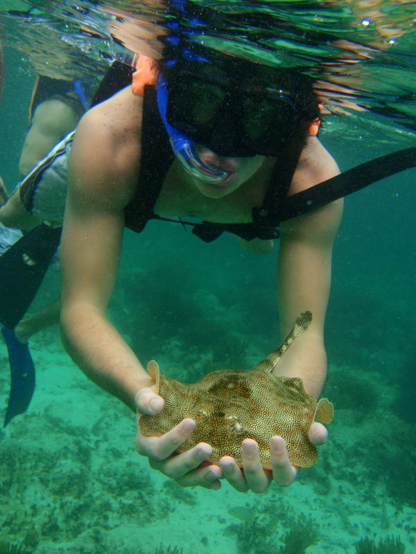 Underwater shot of a snorkeler in a black mask holding a yellow spotted stingray in both hands, presenting it to the camera above a rocky seabed. Another snorkeler's fins are visible at left in the greenish water.