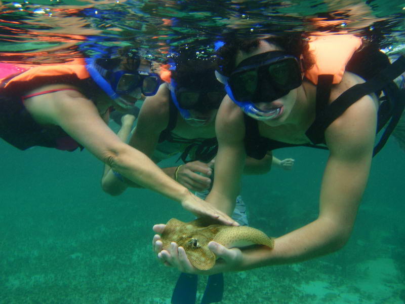 Three snorkelers in masks float just below the surface, together cradling a yellow spotted stingray in their hands over a shallow seabed. Sunlight filters through the greenish water from above.