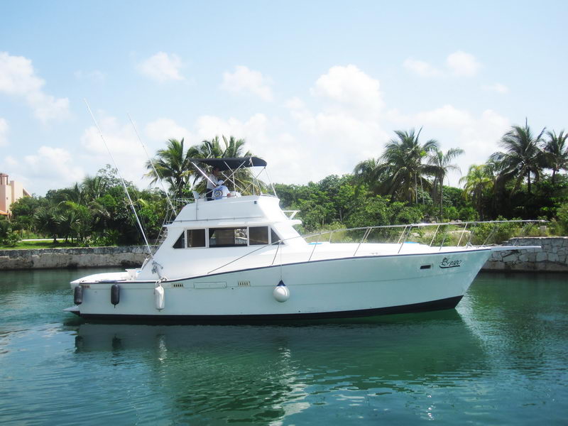 A white flybridge sportfishing yacht named 'Biro' with a bimini top and fishing rods, moored on calm green marina water. Palm trees and lush greenery line the shore behind under a bright blue sky. Full port-side profile.