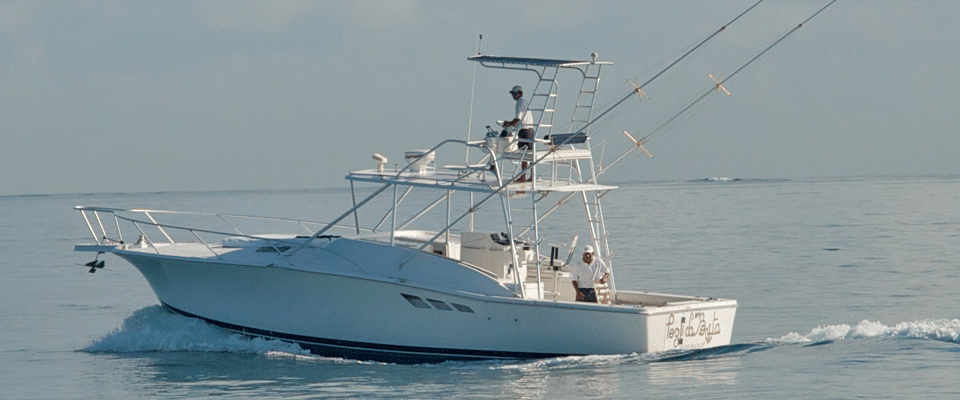 Pm Luhrs38
