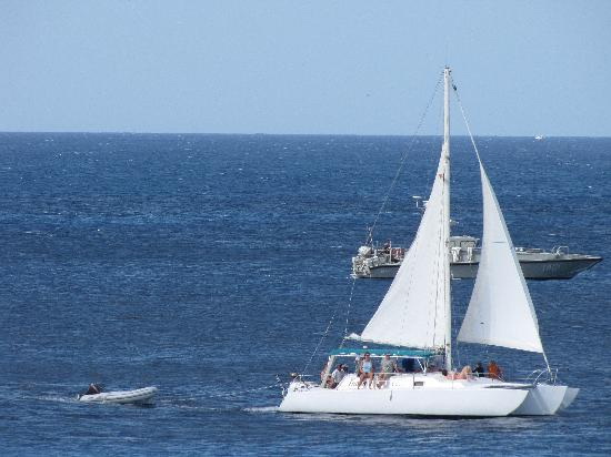 Sunset sailing cozumel charter on catamaran  sail and snorke…